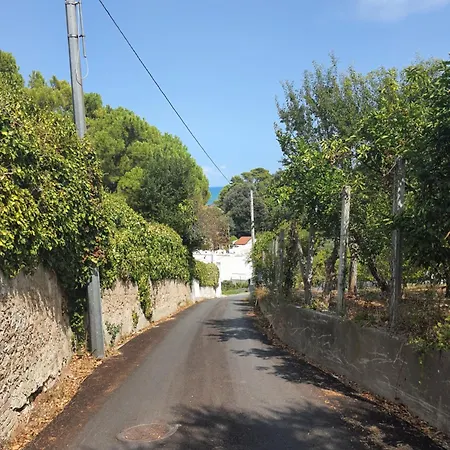 Giuseppina Miramare *