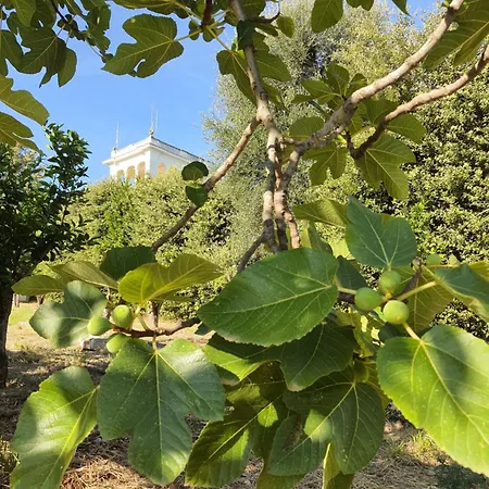 Semesterbostad Giuseppina Miramare *