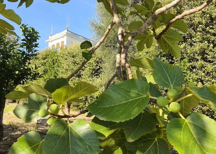 Casa vacanze Giuseppina Miramare *